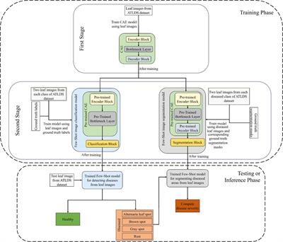 PDSE-Lite: lightweight framework for plant disease severity estimation based on Convolutional Autoencoder and Few-Shot Learning